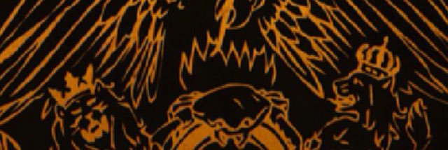 xelaonim's profile banner image
