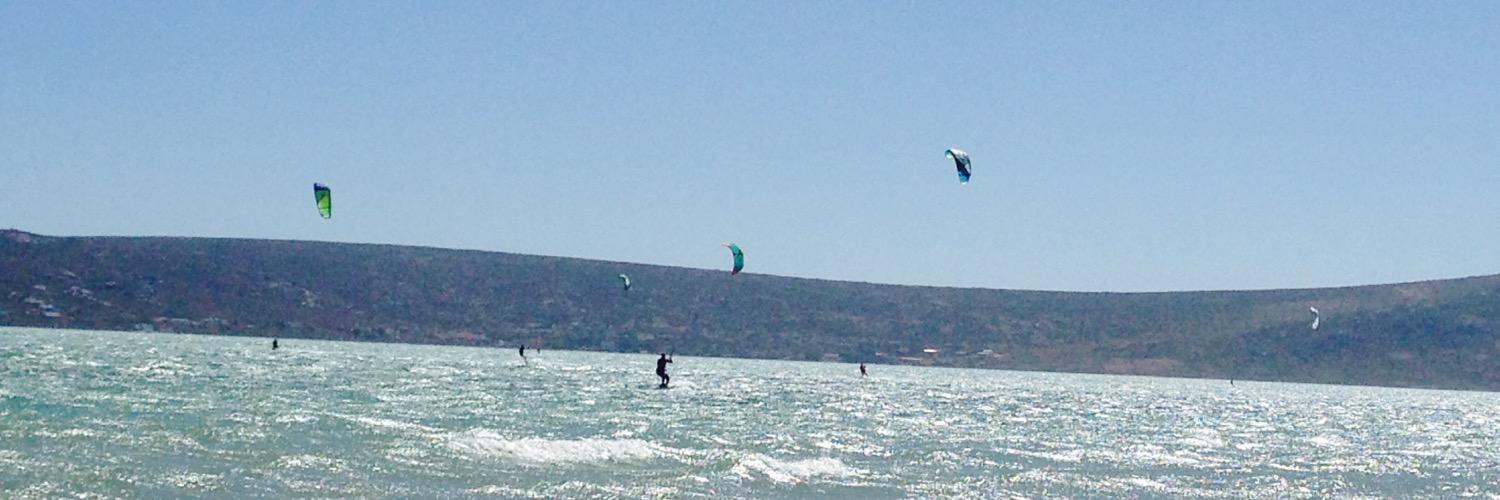 Tracy Lee Ferrao banner