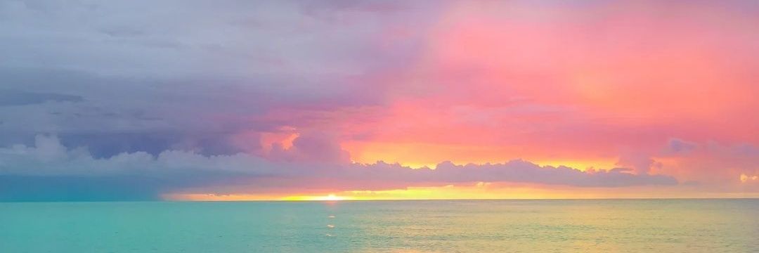 brrdove's profile banner image