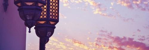 AlisonMacey's profile banner image