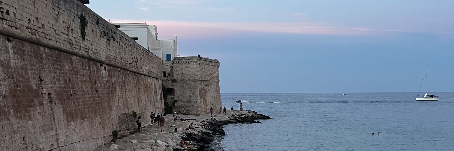 Chris de Sousa Costa banner