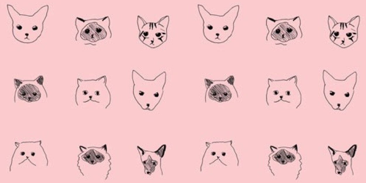 MelissaSalsa's profile banner image