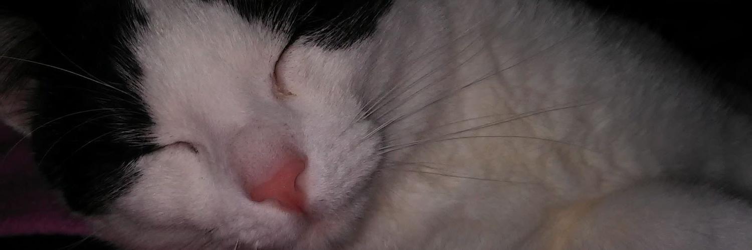 tedprinoda's profile banner image