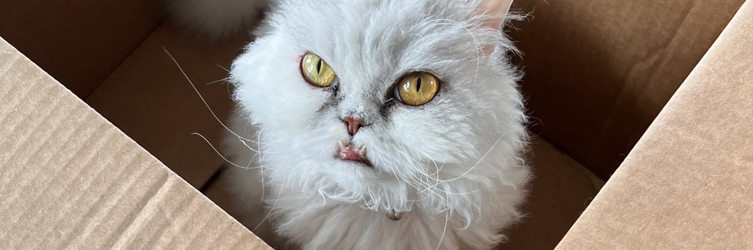 MirandaHickss's profile banner image