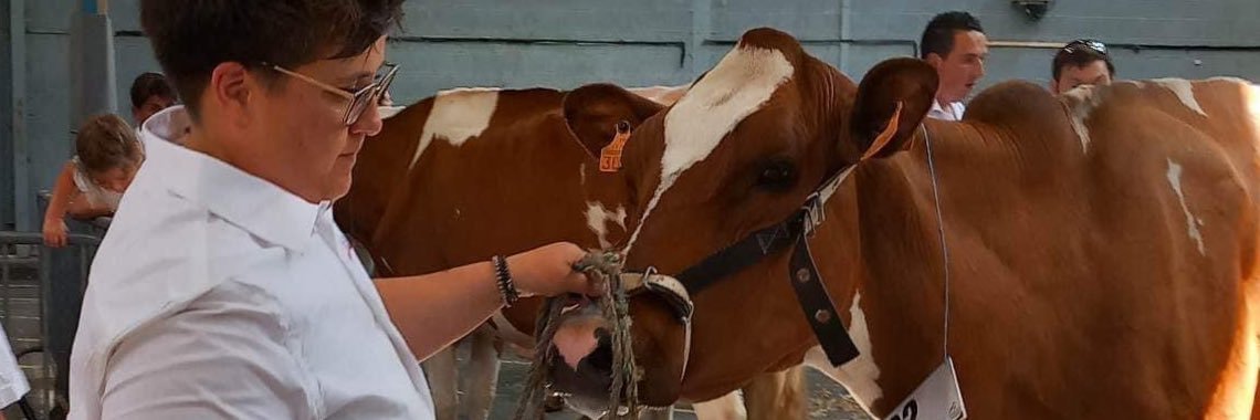 JU 🚜 🐮☀️🌾 banner