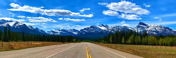 NicoleStillger Profile Banner