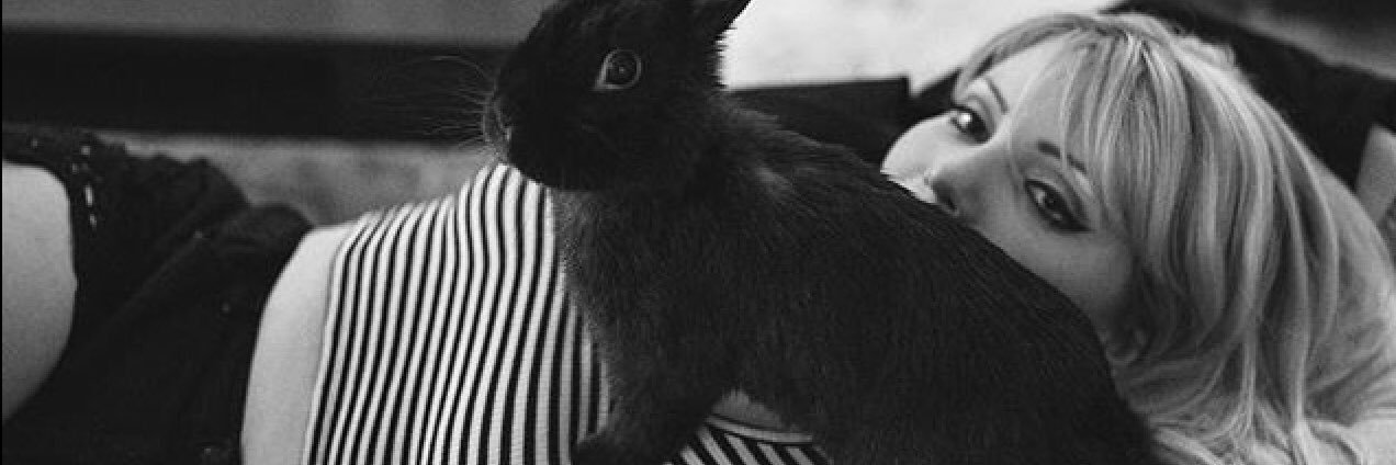 EmmaBunnie's profile banner image