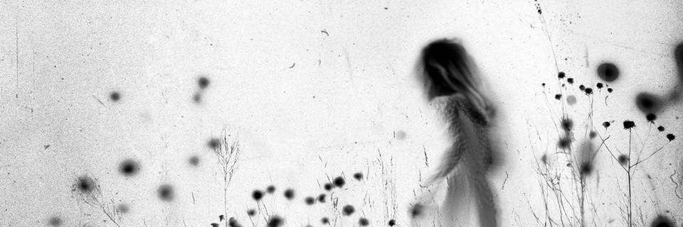 apospleen's profile banner image