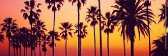 SteelerDan619's profile banner image