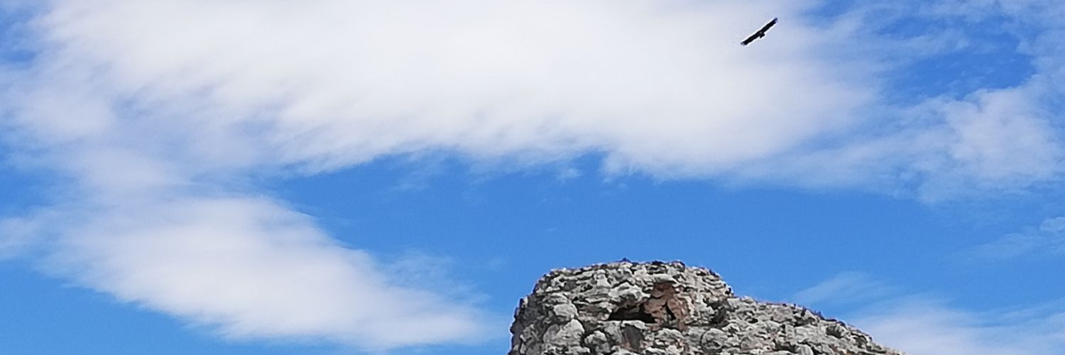 Domi_Knows's profile banner image
