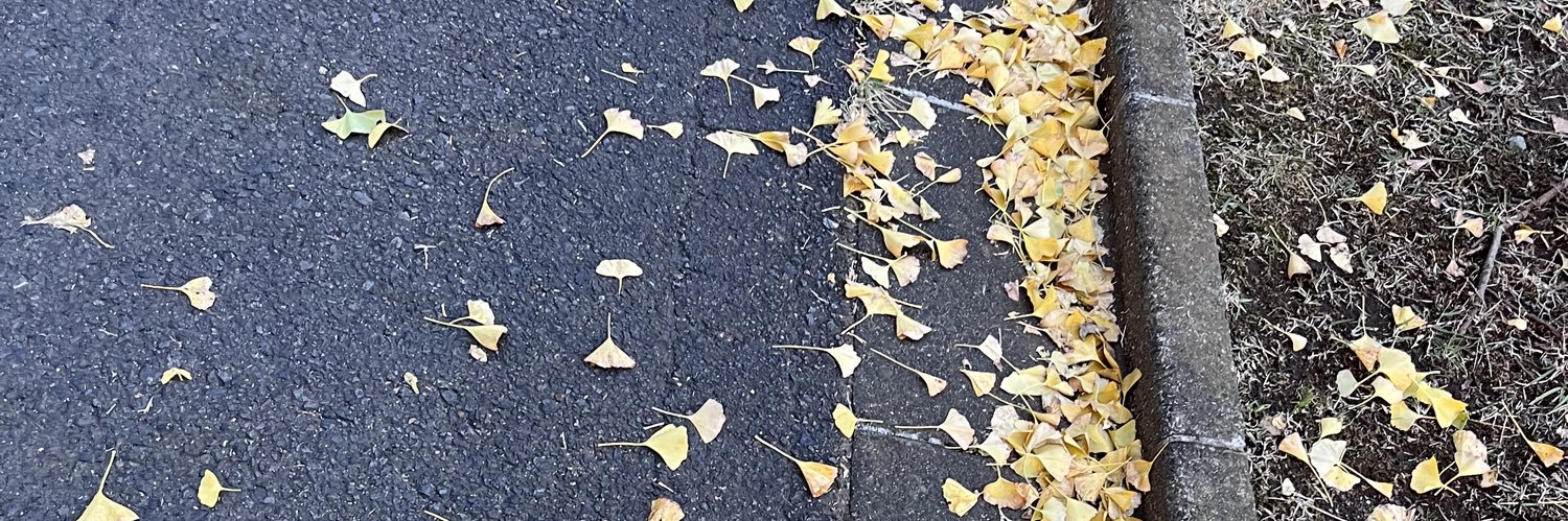 ny___37's profile banner image