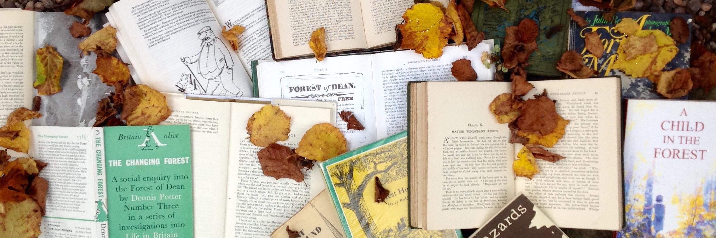 Reading the Forest banner