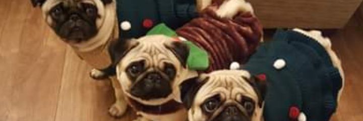 emmaNo1THATTER's profile banner image