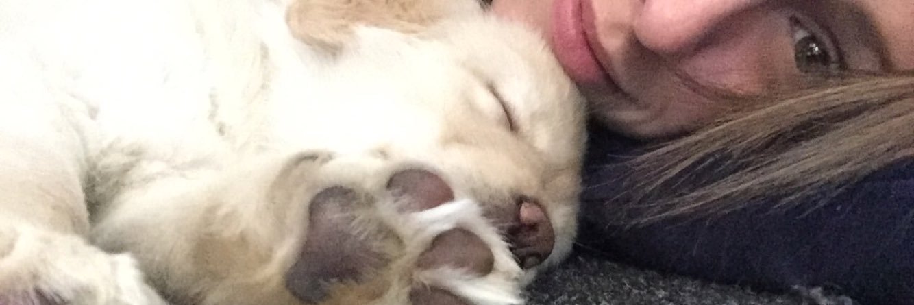 Cheeselizz_'s profile banner image