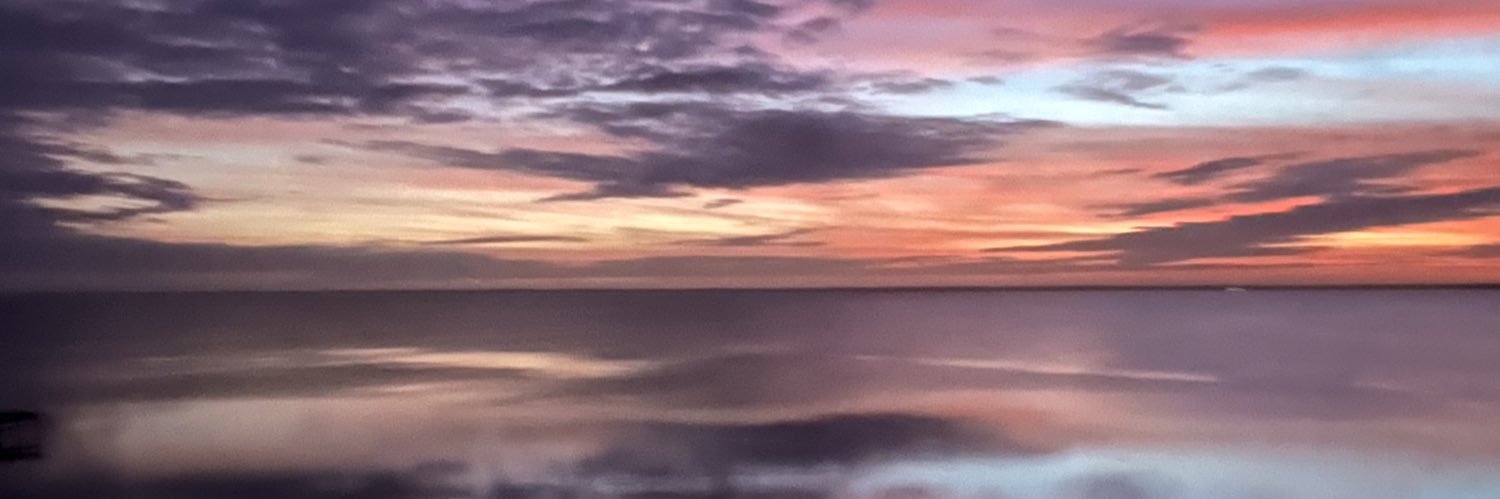 Amy Bailey banner