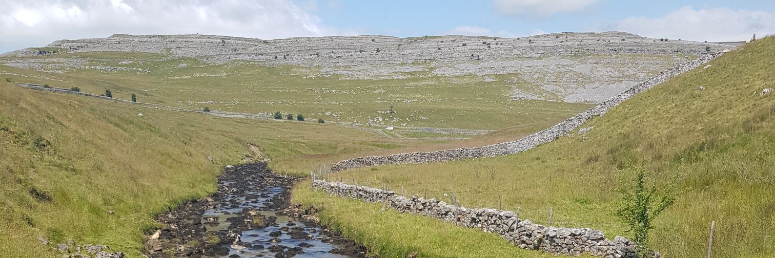 HT🦊🇺🇦 banner