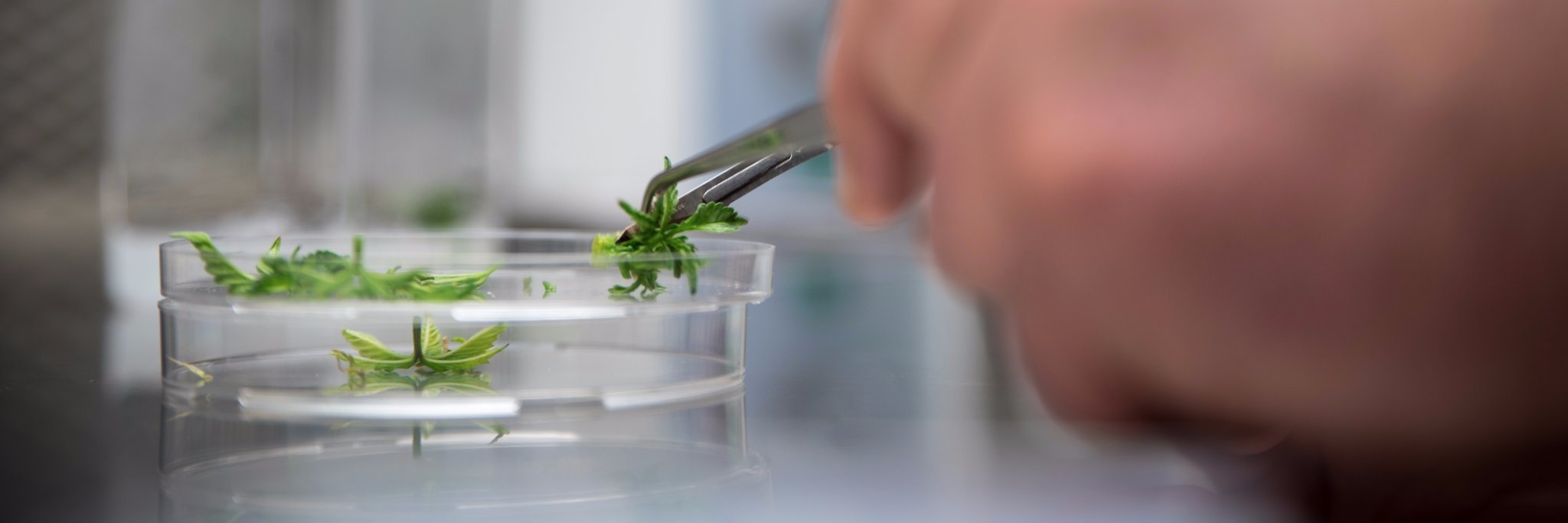 Front Range Bio banner