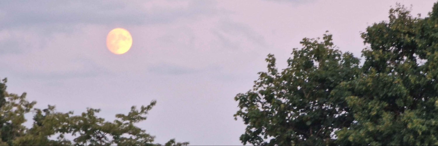 OverKurumi's profile banner image
