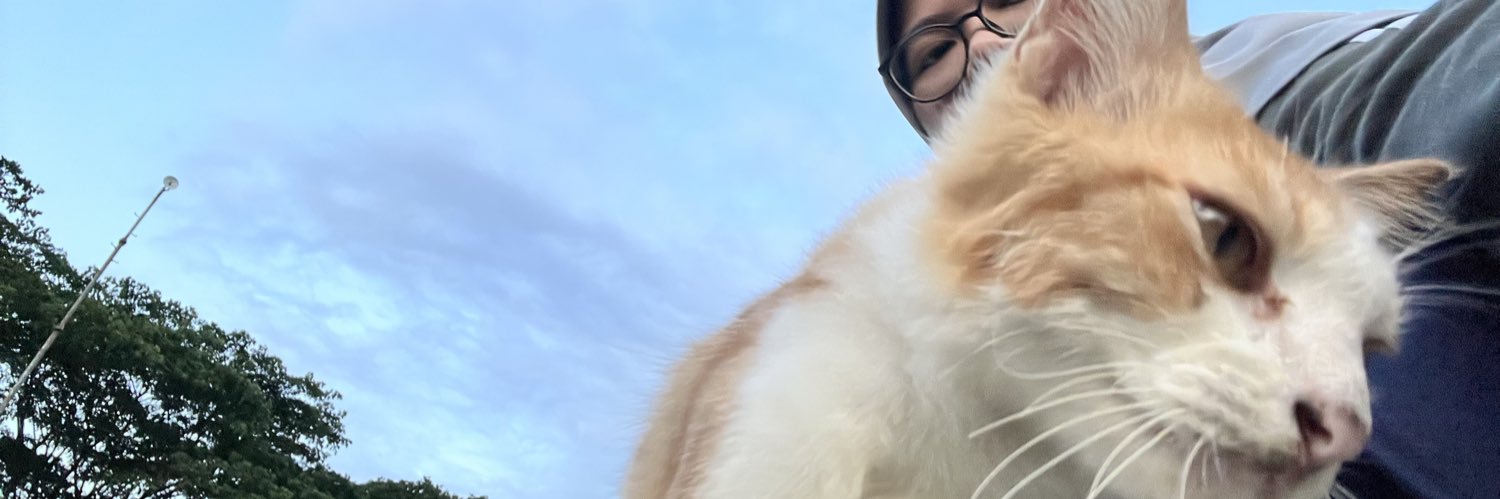 dibajakmemeng's profile banner image