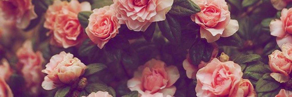 2G1BMTL's profile banner image