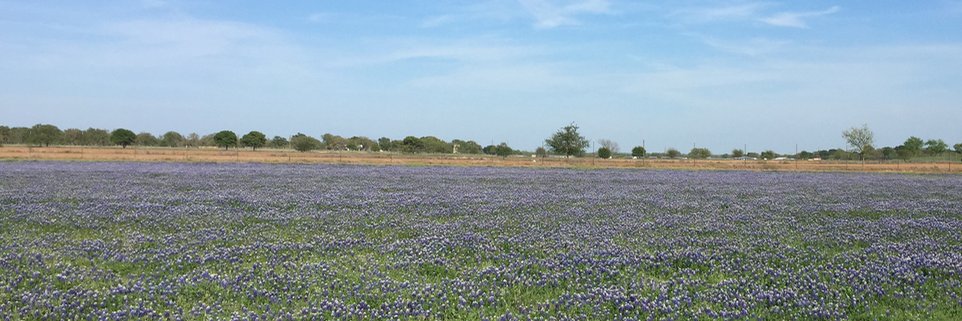 Chandra Reddy banner