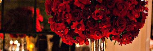 SignatureSavvy's profile banner image