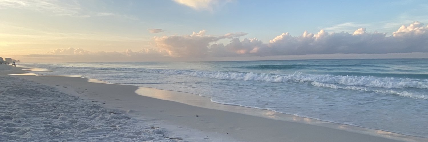sarahbee110's profile banner image