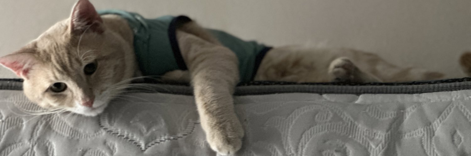 its_mearaa's profile banner image