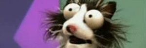 bobothefooI's profile banner image