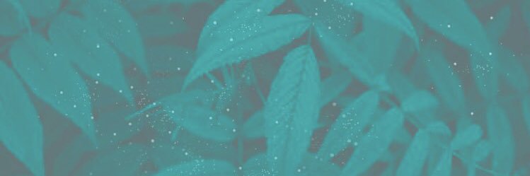 raquelcelisb's profile banner image