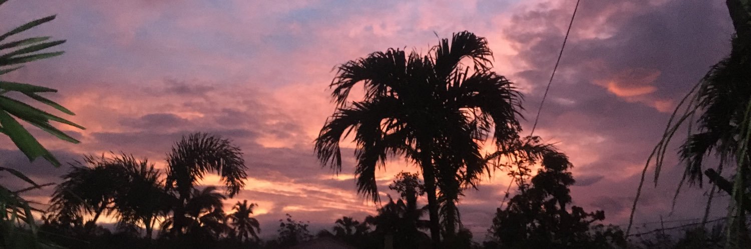 HangryErz's profile banner image