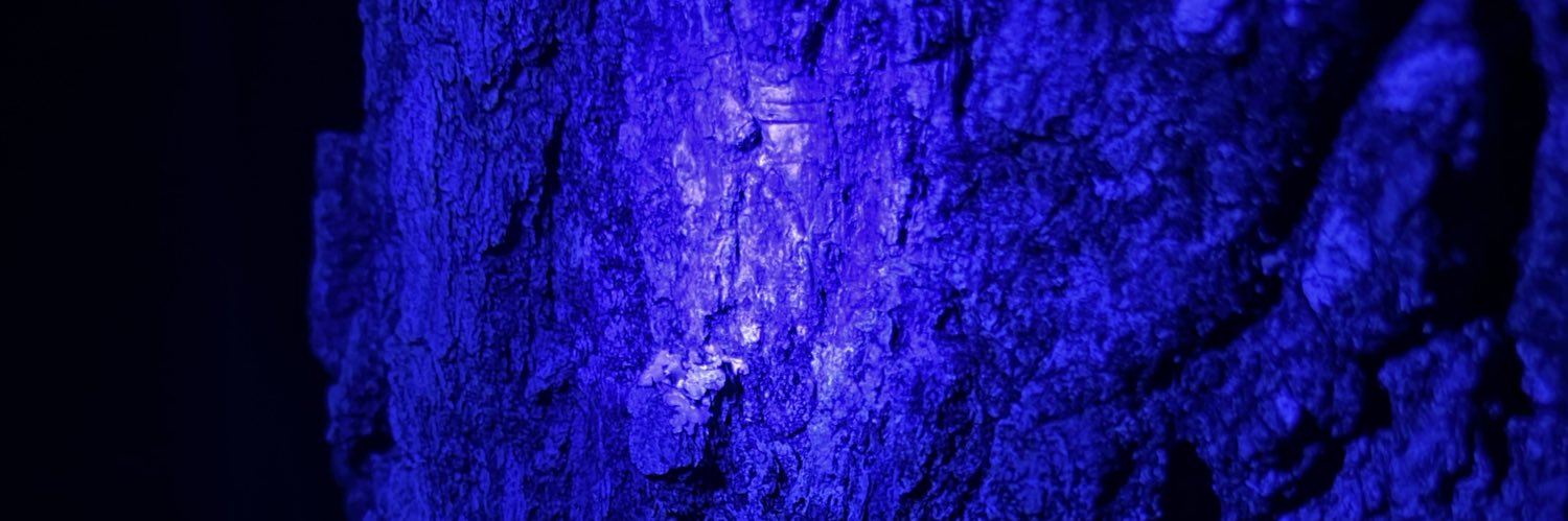 werd678's profile banner image