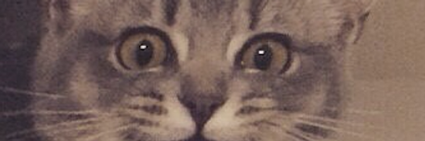 ryunosuk Profile Banner