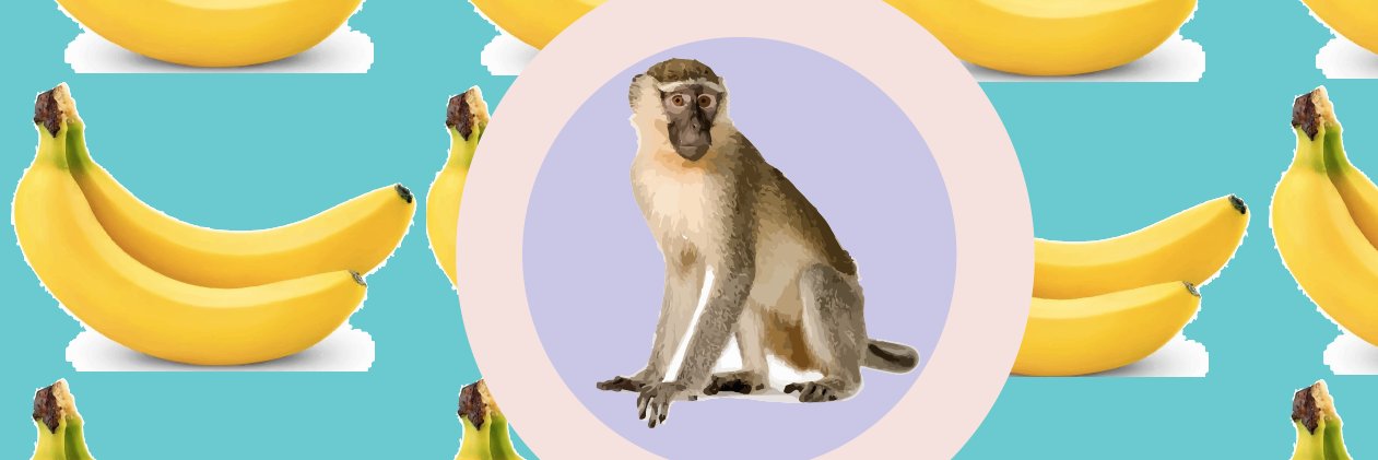 Dallingreenhalg's profile banner image
