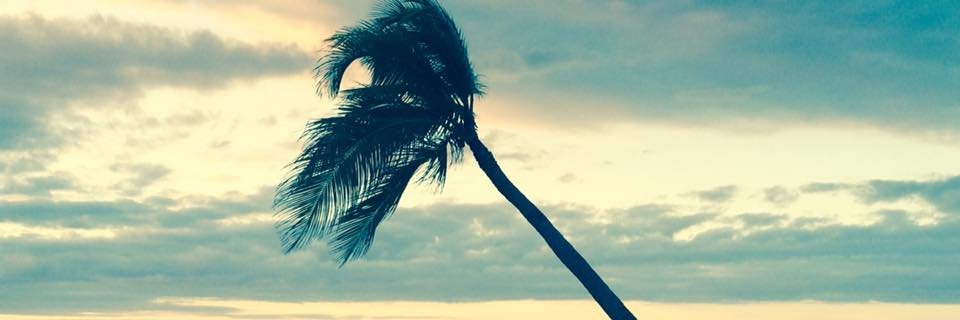 LautaroReal5's profile banner image
