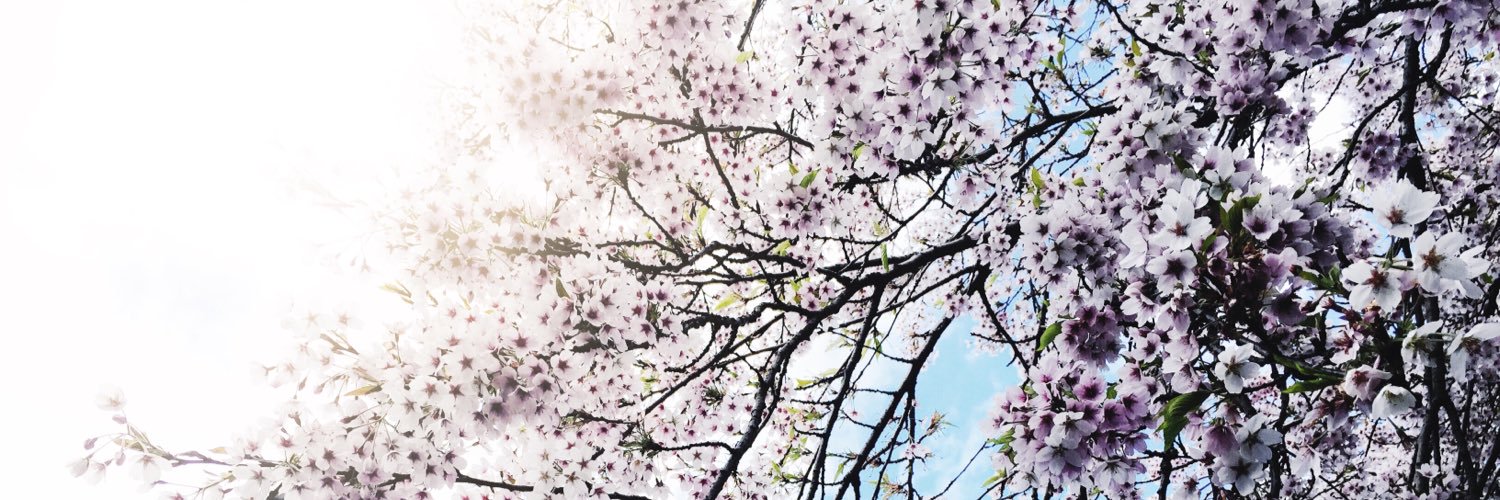 alyaayaayaa's profile banner image