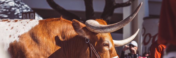 ColinSteverson Profile Banner