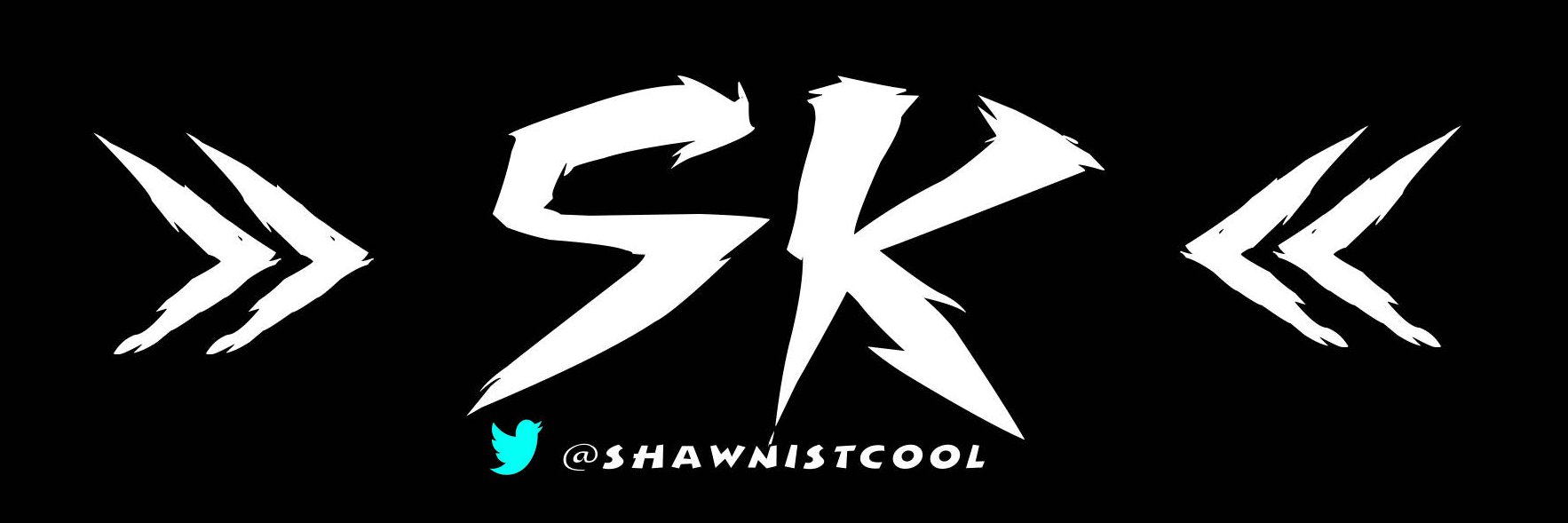 Shawnistcool's profile banner image