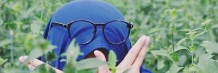 Segakucing00's profile banner image