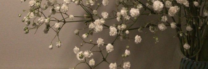 daphneuxx's profile banner image