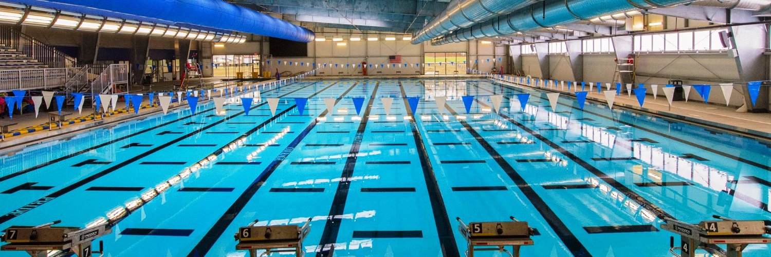 RenoSys Pools banner