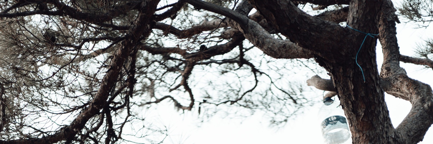 MosheAelyon's profile banner image
