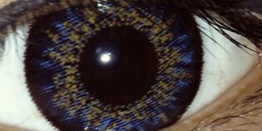 Myndya_'s profile banner image