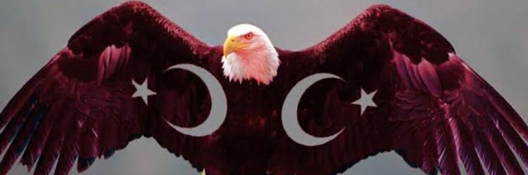 captainblack 𝕏's banner