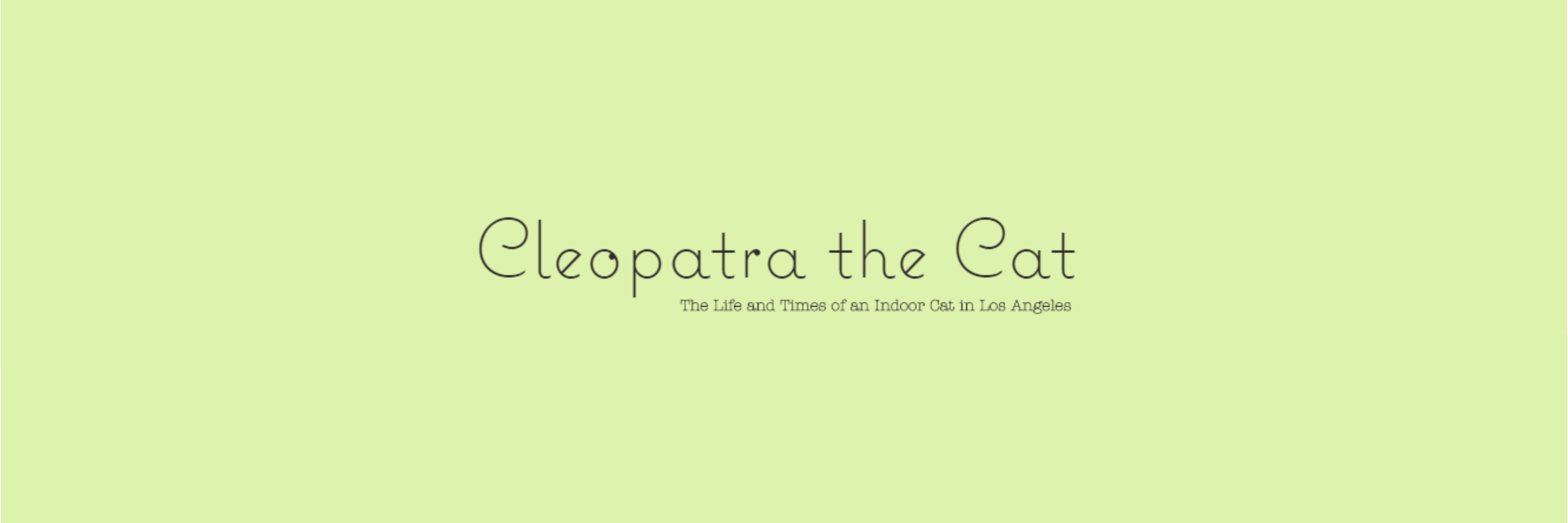 cat_cleopatra's profile banner image