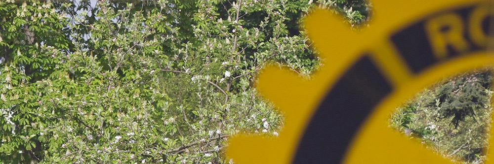 Rotary_LCSCB's profile banner image