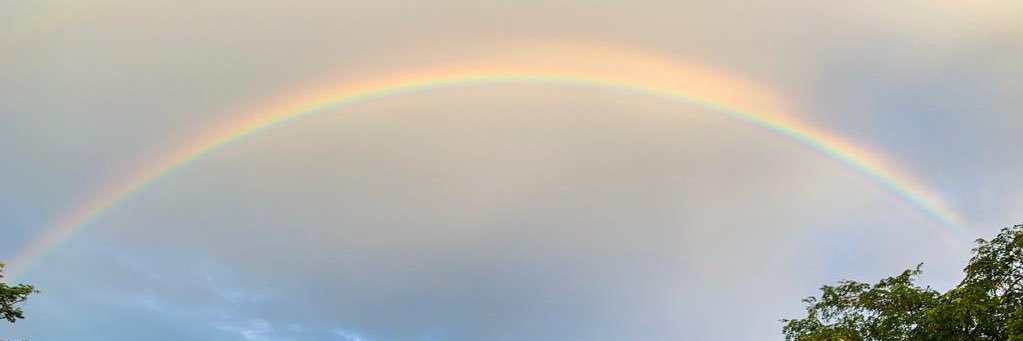 valchapina's profile banner image