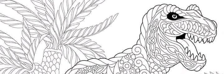 TapiaSandoval's profile banner image