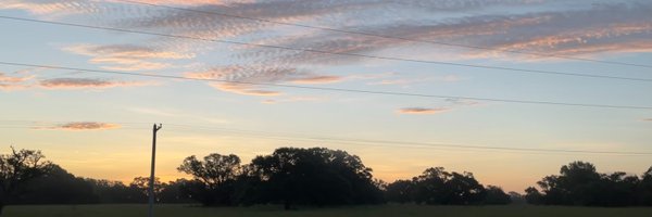 HannahFTodd_ Profile Banner