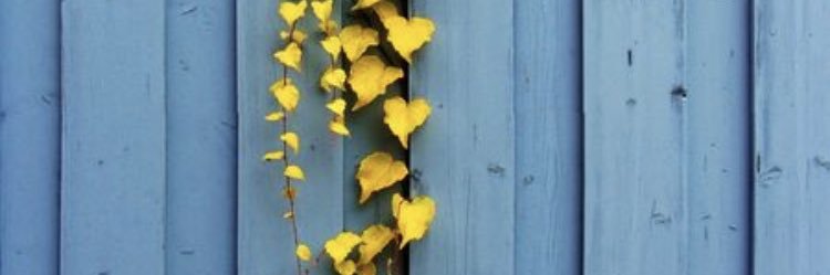 SLadendorf's profile banner image
